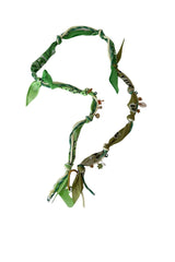 Green Mix Phone Cord