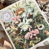 "Ernst #1" Swedish Dishcloth