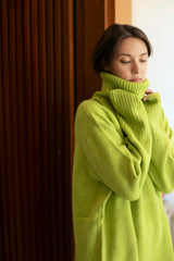 Dog Walker Sweater